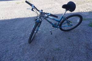 lot 113 image: Schwinn Aluminum Bike-26