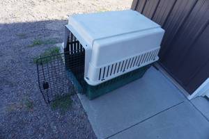 lot 114 image: Pet Carrier 36 L x 28 x 28 Poly unit, metal door
