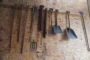 lot 136 image: Potato fork, 5 &amp 6 tine forks, hoe, shovel