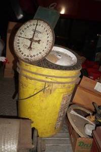 lot 220 image: Scale and pail of wheels