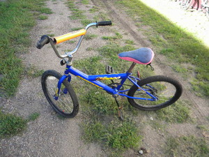 lot 86 image: Free Spirit XT 1000 20 bike