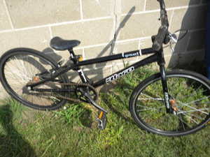 lot 212 image: Black Haro 20 bike