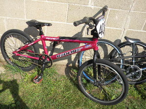 lot 214 image: Redline Proline 20 Bike