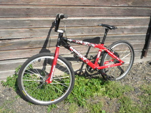 lot 226 image: Redline Proline 24 Bike