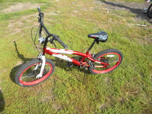lot 235 image: Falcon Schwinn 20 Bike