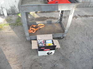lot 417 image: Roller cart w box of spark plugs