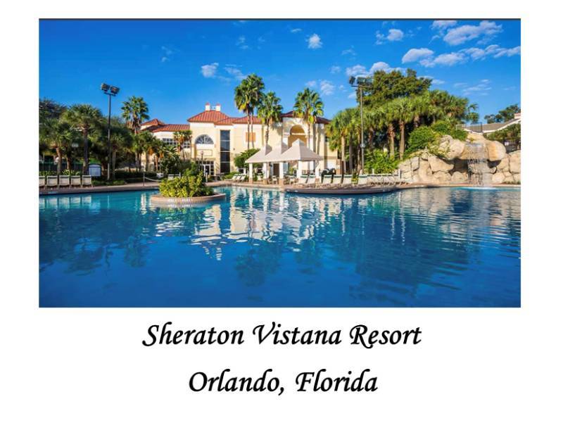 Shelley Ostendorf Benefit Fundraiser Black Diamond Auctions Online