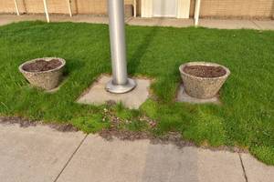 lot 5 image: 2) Concrete Flower Pots
