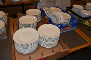 lot 205 image: 3) Flats of Plates