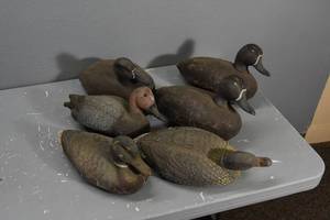 lot 364 image: 6) Fiberglass duck decoys