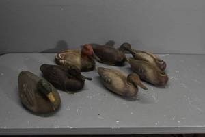 lot 366 image: 7) Decoys Poly & Styrofoam