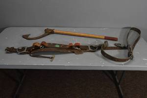 lot 368 image: Buckingham ClimbingSafety belt