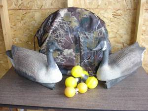 lot 11 image: CAMO DOG HUNTING BLIND, DECOYS