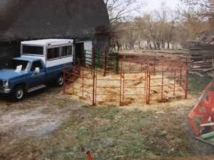 lot 15 image: LIVESTOCK SALESORTING RING