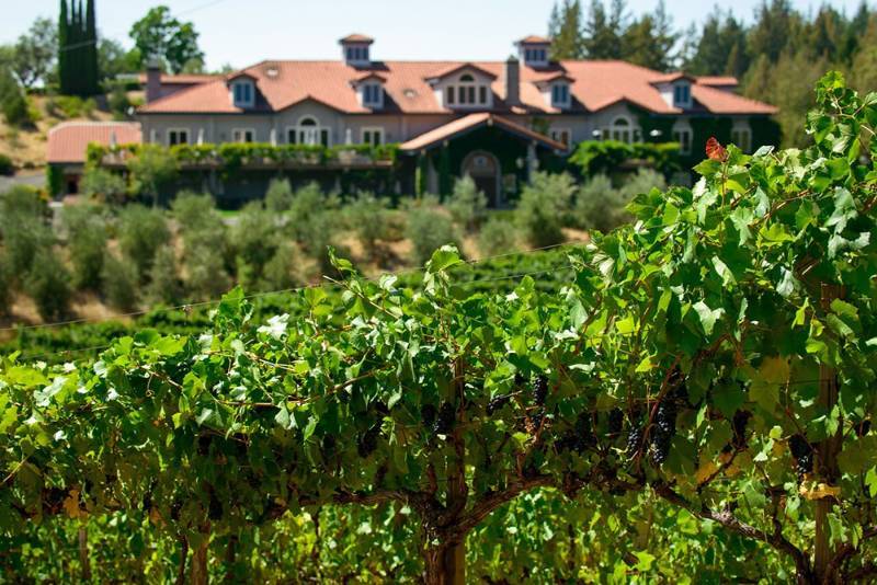 Black Diamond Auctions Online