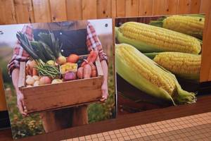 lot 24 image: Garden Produce 36 x 36