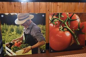 lot 25 image: Vegetable Pictures 36 x 36