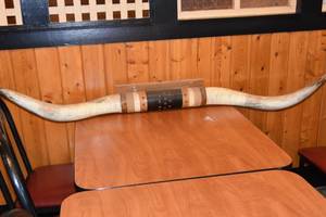 lot 53 image: Large Long Horns 77 spread