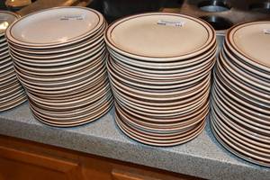 lot 121 image: 20 Dinner plates 9.5
