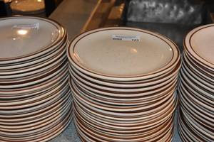 lot 123 image: 20 Dinner plates 9.5