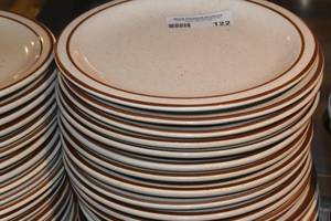 lot 122 image: 20 Dinner plates 9.5