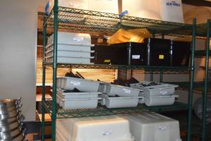 lot 182 image: Five shelf green rack 48 x 24 by 80 T