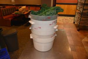 lot 243 image: 6) 12 qt round Cambro containers