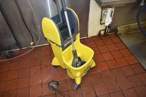 lot 434 image: Ecolab Scrub Bucketmop
