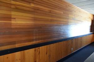 lot 79 image: North Wall of Lap Siding and Wainscoting