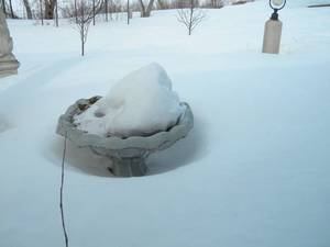 lot 110 image: Concrete bird bath-very heavy