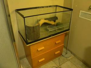 lot 151 image: B-Aquarium, light & latteral file