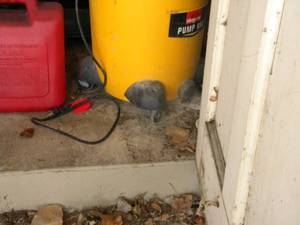 lot 159 image: B-Shop vac and gas can