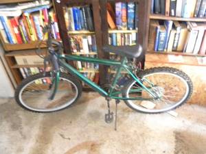 lot 189 image: G-Bike-Roadmaster green, 24