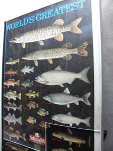 lot 42 image: Schmidts Fish poster