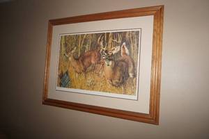 lot 166 image: Deer Framed, numbered & matted print