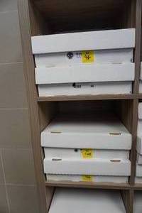 lot 46 image: Magic card box, commons, uncommons, and bulk rares 4 rows per box, 4 boxes per lot