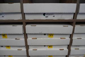 lot 49 image: Magic card box, commons, uncommons, and bulk rares 4 rows per box, 4 boxes per lot