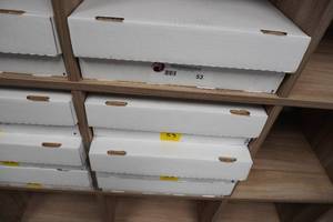 lot 53 image: Magic card box, commons, uncommons, and bulk rares 4 rows per box, 4 boxes per lot