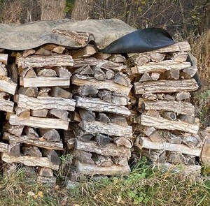 lot 100 image: Cord of Oak Wood
