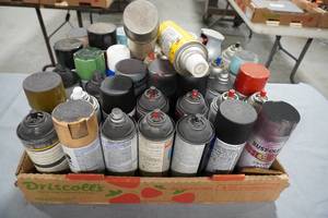 lot 164 image: Assorted spray paint