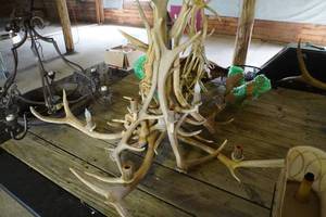 lot 73 image: Antler Chandelier with ten lights