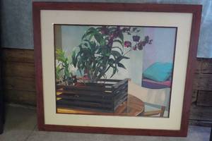 lot 114 image: Plant in Box 42 X 35 Tall Frames & Matted