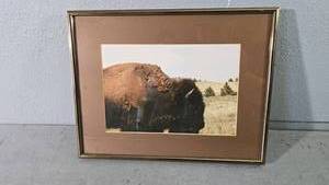 lot 29 image: Gerry Drewry Big Mama Buffalo Photograph, Metal Frame, 13x16 inches