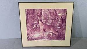 lot 33 image: Lynn Rogers Framed Photograph Deer, Approx. 16x20, Metal Frame