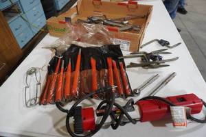 lot 73 image: Chisels, trouble light, tree steps, misc tools