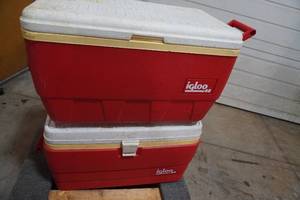 lot 205 image: Two Igloo coolers