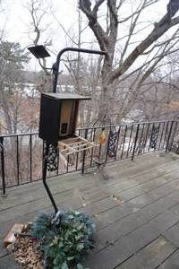 lot 67 image: Camera Bird Feeder &amp framed ornament