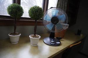 lot 117 image: 2 Bonzi plants, Rowenta fan & basket