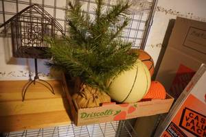 lot 179 image: Small bird cage, tree, volley ball, basket ball, menorah
