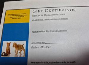 lot 6 image: Gift Certificate $250 Clearwater Animal Hospital